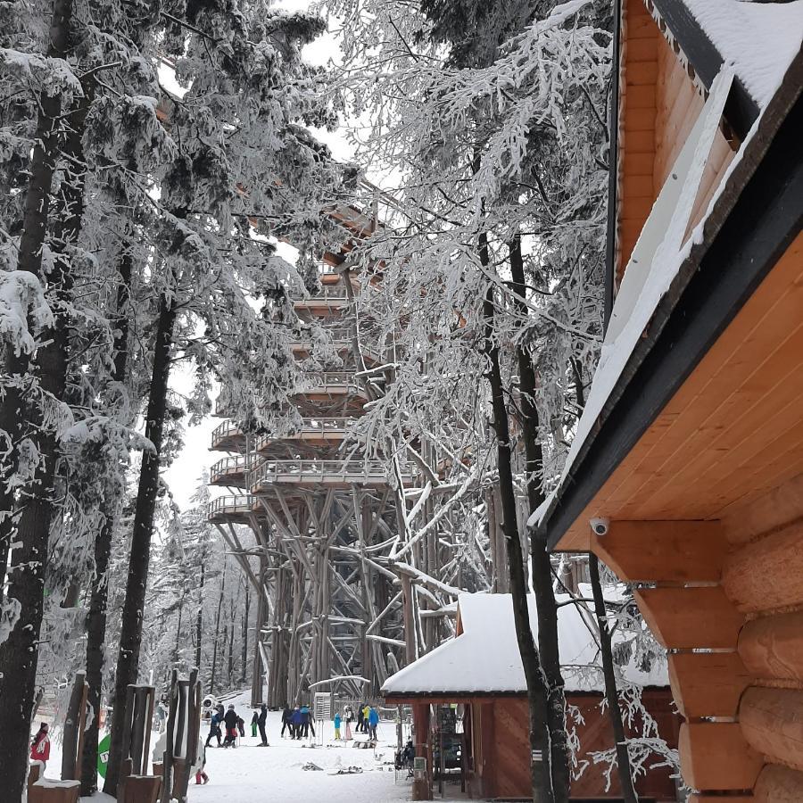 Willa Male Alpy 300 M Od Kompleksow Narciarskich กรินีซา ดรอยจ์ ภายนอก รูปภาพ