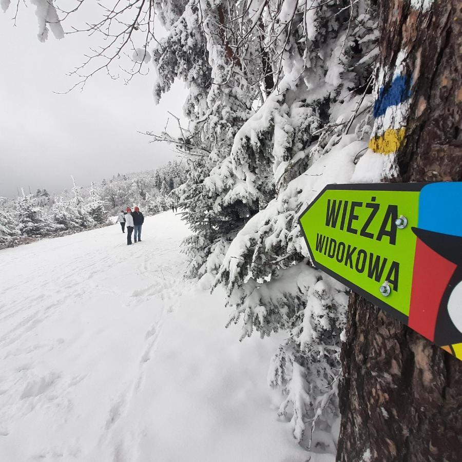 Willa Male Alpy 300 M Od Kompleksow Narciarskich กรินีซา ดรอยจ์ ภายนอก รูปภาพ